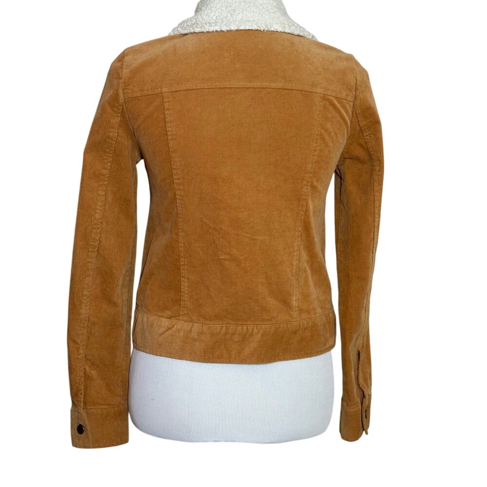 Others Follow Camel Sequoia Corduroy Women’s Jacket Sherpa Details, Size XS - Picture 4 of 9